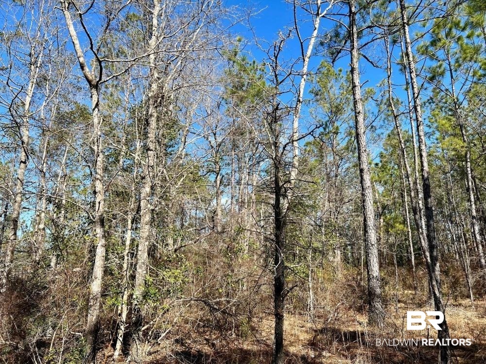 0 Country Road Deer Park, AL 36529 - Photo 9 of 46
