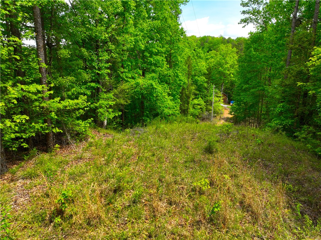 183 Chauga Valley Road Westminster, SC 29693 - Photo 8 of 31