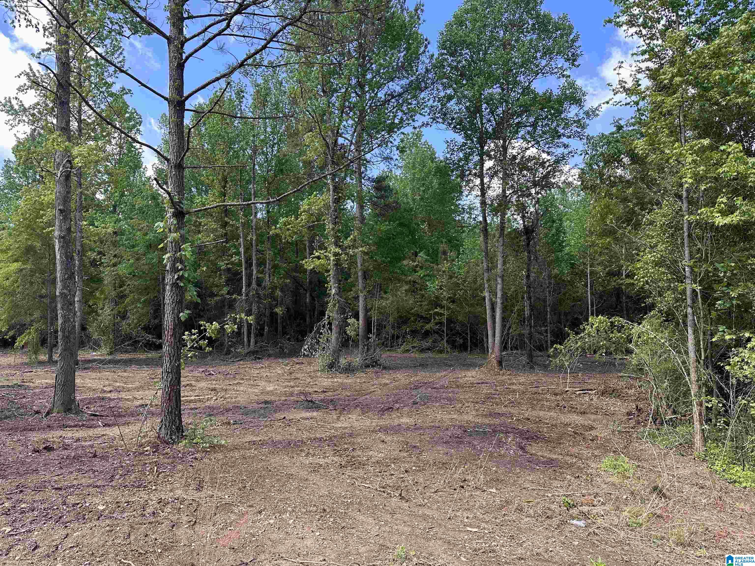 1845 Reads Mill Road Wellington, AL 36279 - Photo 1 of 2