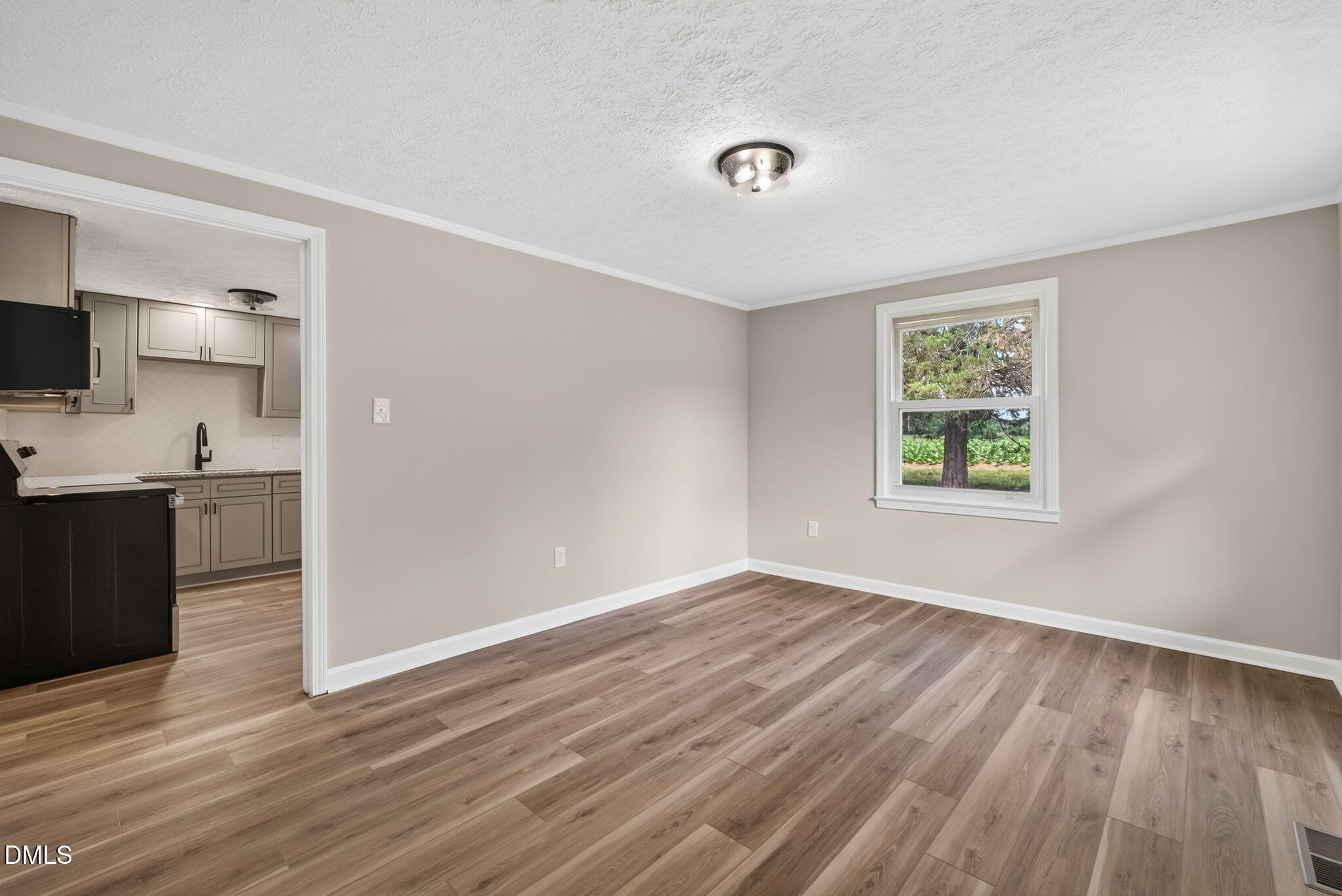 176 Briggs Road Hurdle Mills, NC 27541 - Photo 5 of 33 5-web-or-mls-DSC01052
