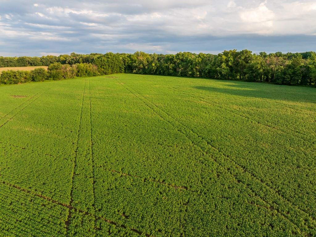 Tbd Northeast 500th Road Warrensburg, MO 64093 - Photo 19 of 40