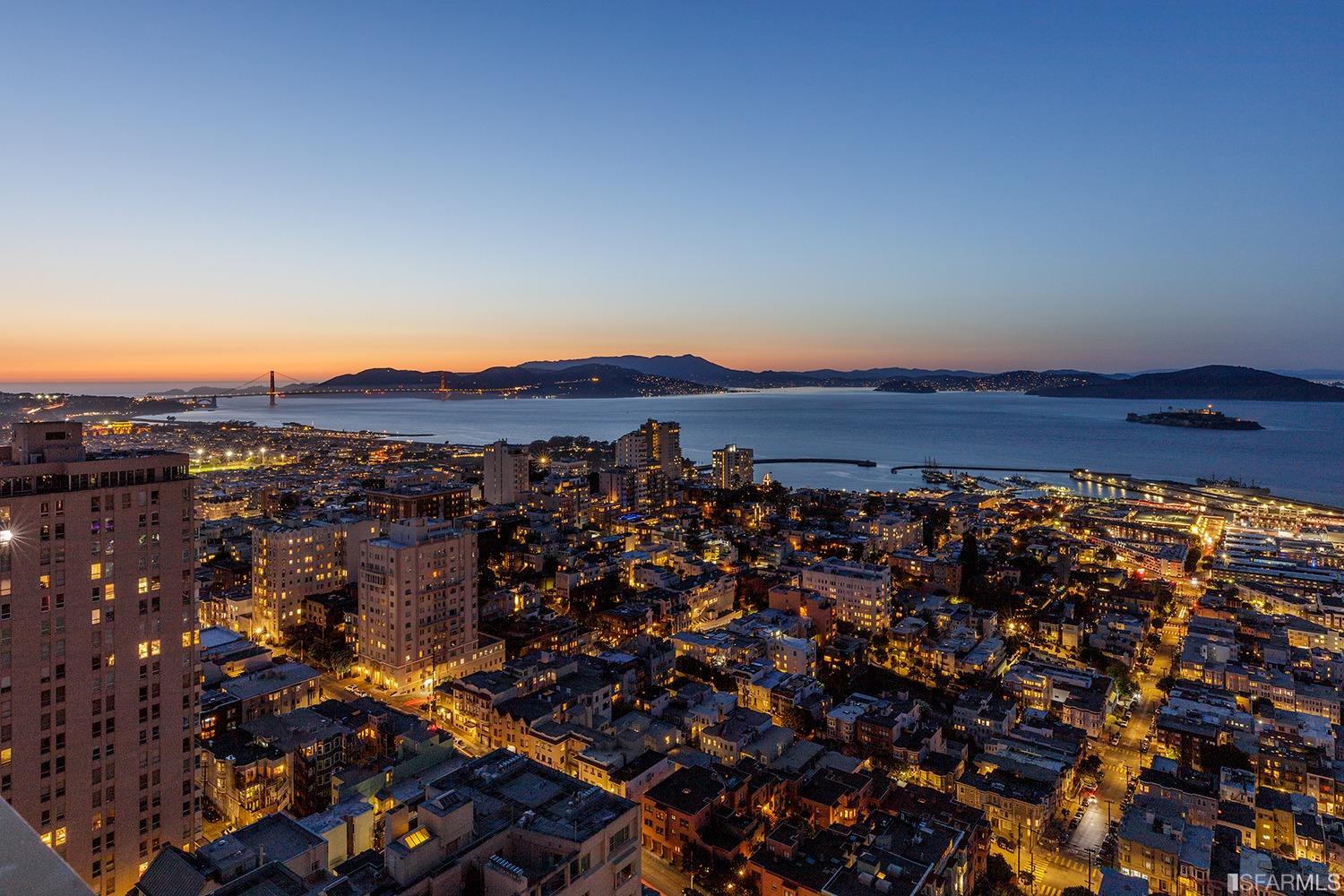 999 Green Street, Unit 3201 San Francisco, CA 94133 - Photo 25 of 28 a view of a large tree with a mountain in the background