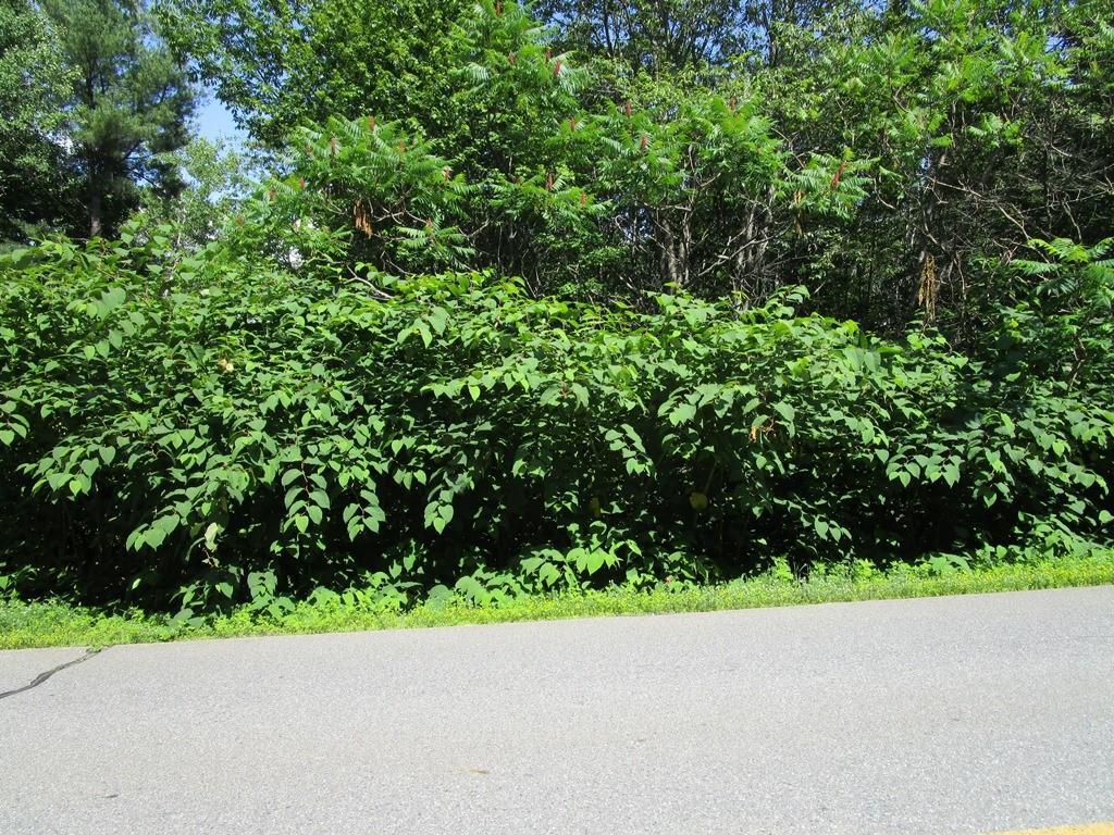 M6-l4b-1 East Ridge Road Skowhegan, ME 04976 - Photo 1 of 5 Land/Lot