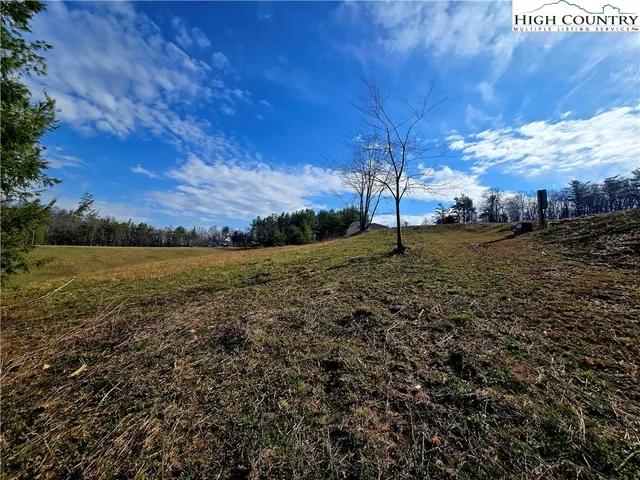 a view of a yard with an tree