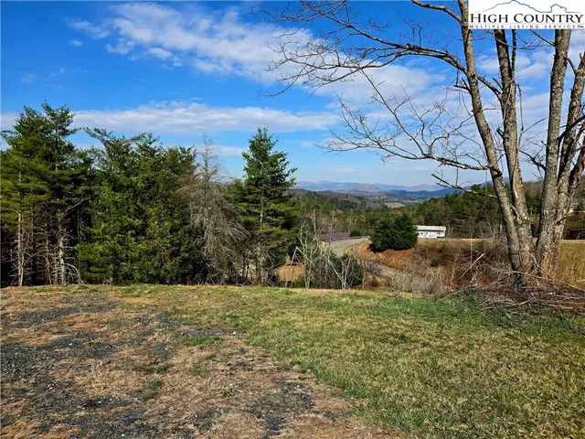 a view of a yard with a tree