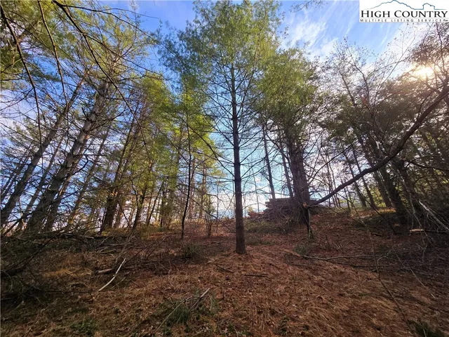 a backyard of a house with lots of trees