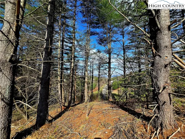 a view of a yard with an house and trees in the background