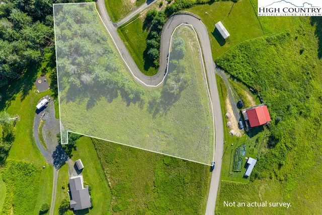 a view of a swimming pool with a backyard