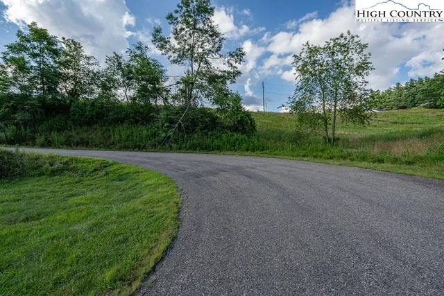 a view of a field with plants and trees