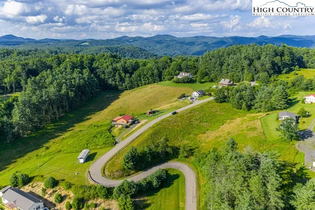 a view of a garden with a swimming pool