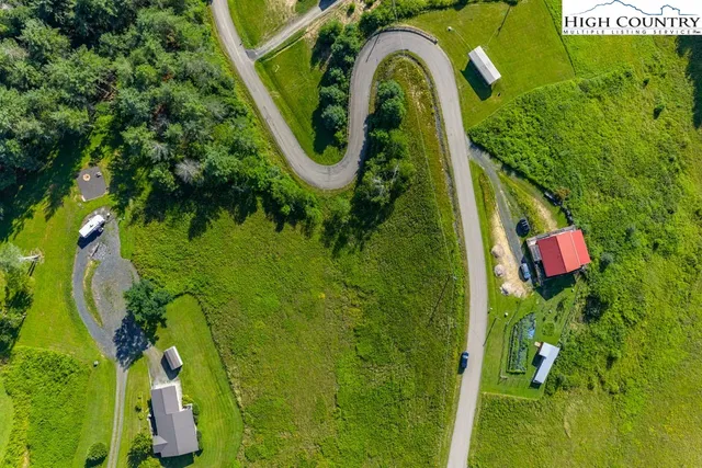 a bird view of a garden