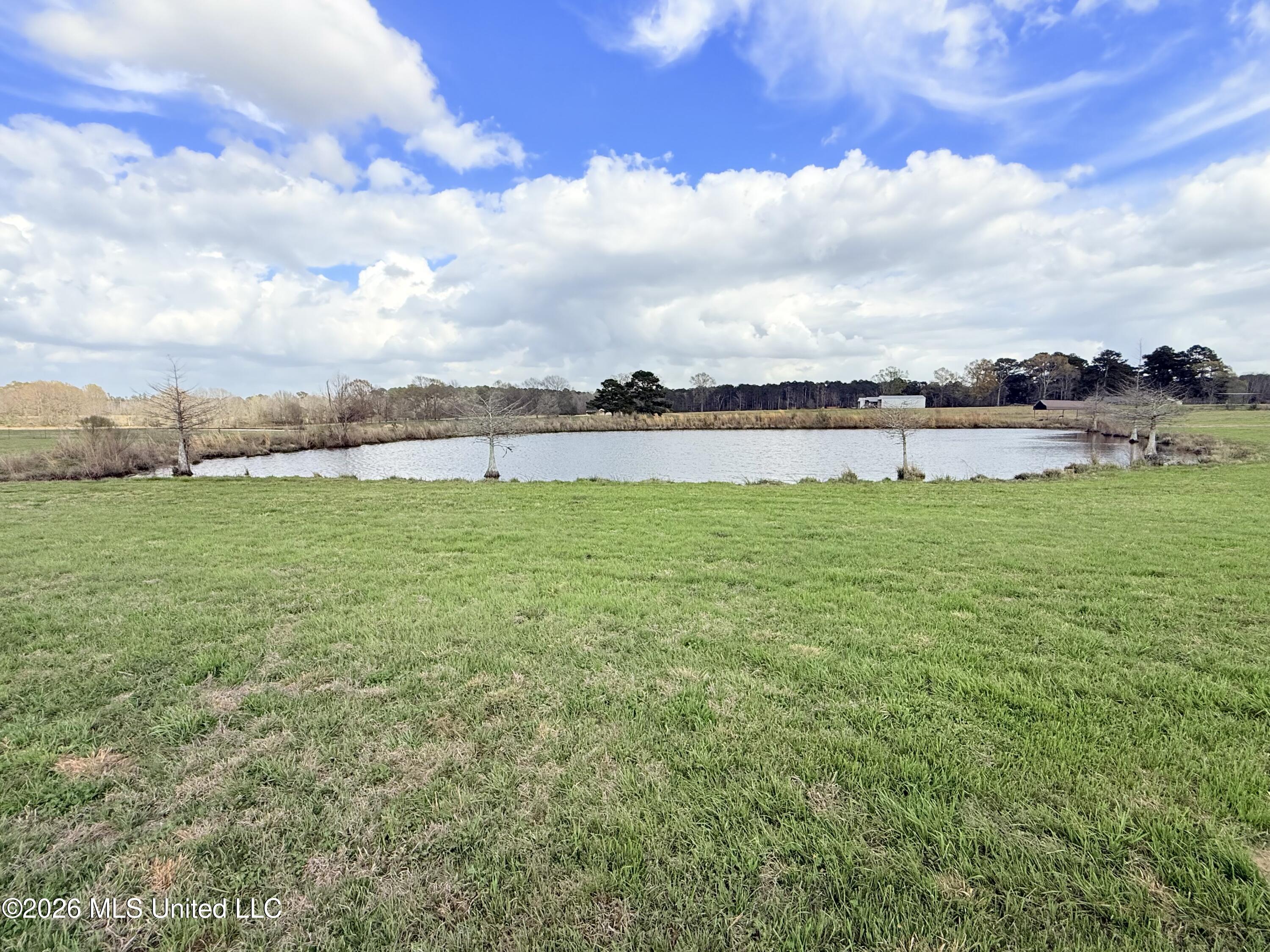2320 Bogue Chitto Road Southwest Smithdale, MS 39664 - Photo 45 of 59 IMG_4831