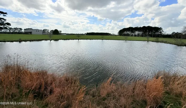 $527,500 | 2320 Bogue Chitto Road Southwest, Smithdale, MS 39664