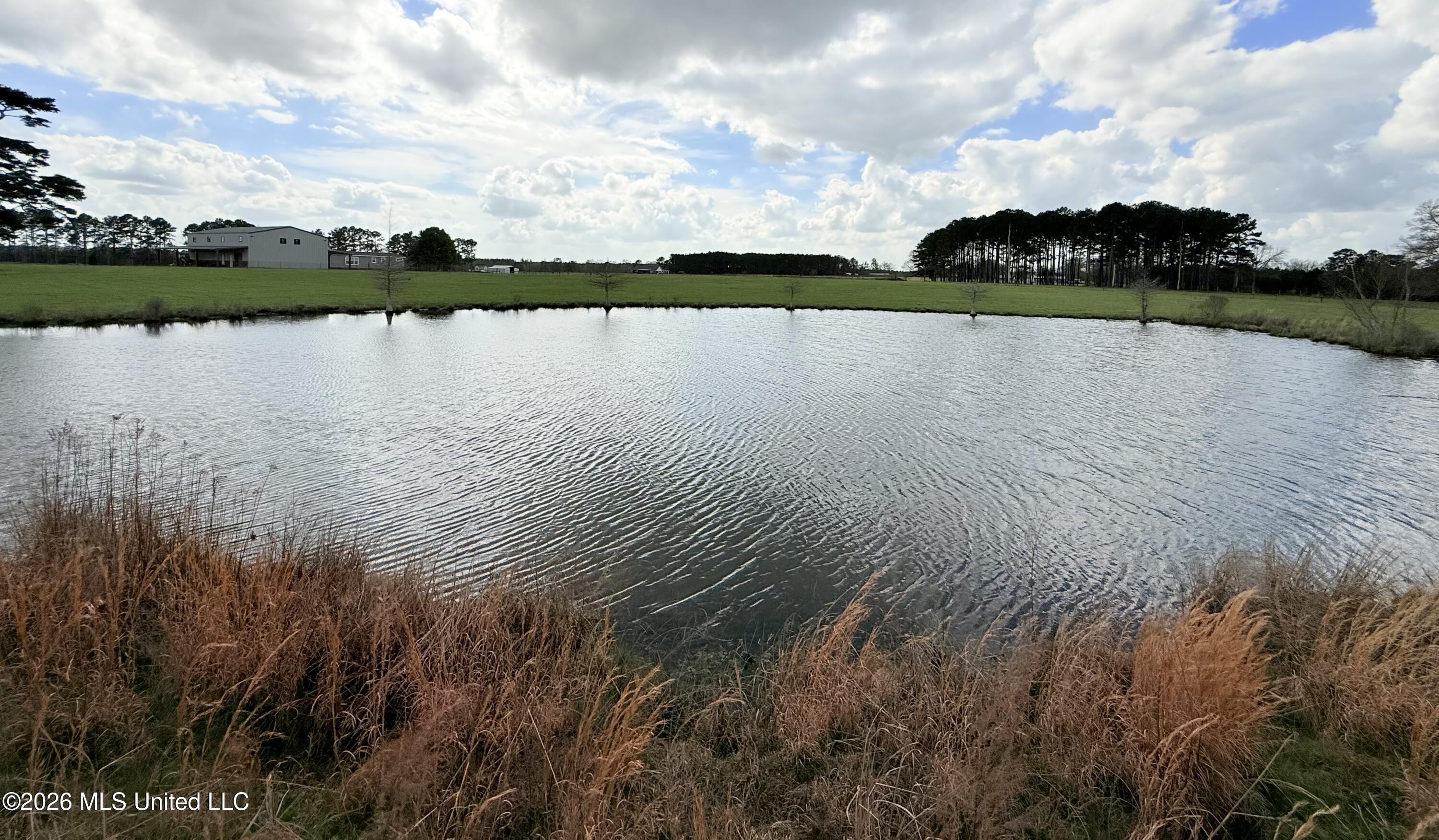 2320 Bogue Chitto Road Southwest Smithdale, MS 39664 - Photo 46 of 59 IMG_4834