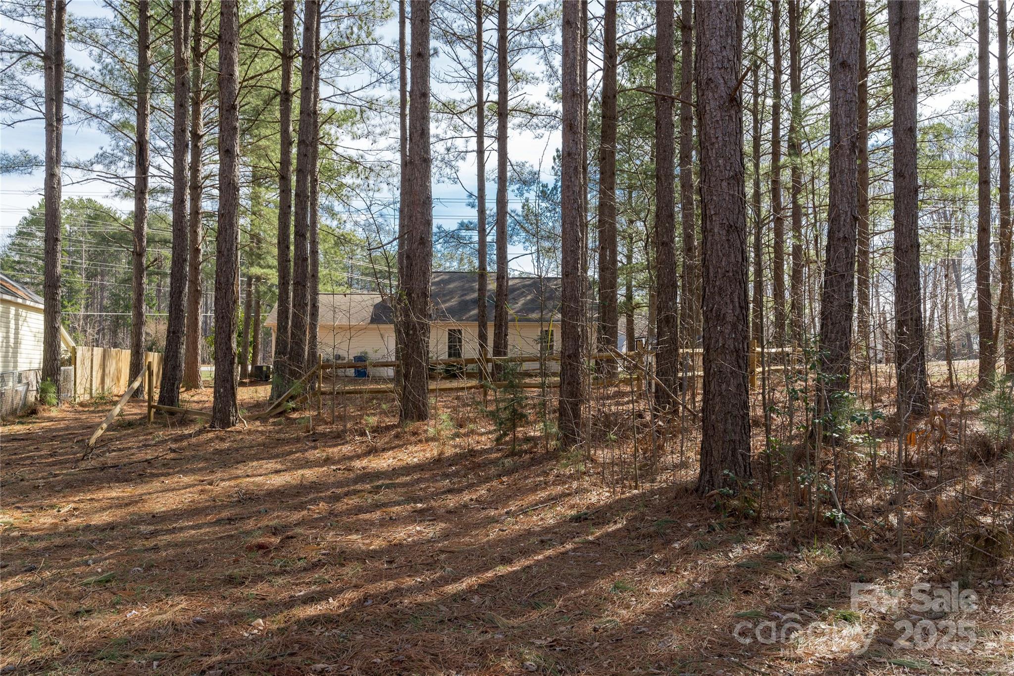 1969 Beth Haven Church Road Denver, NC 28037 - Photo 27 of 33 a view of tall trees with empty room