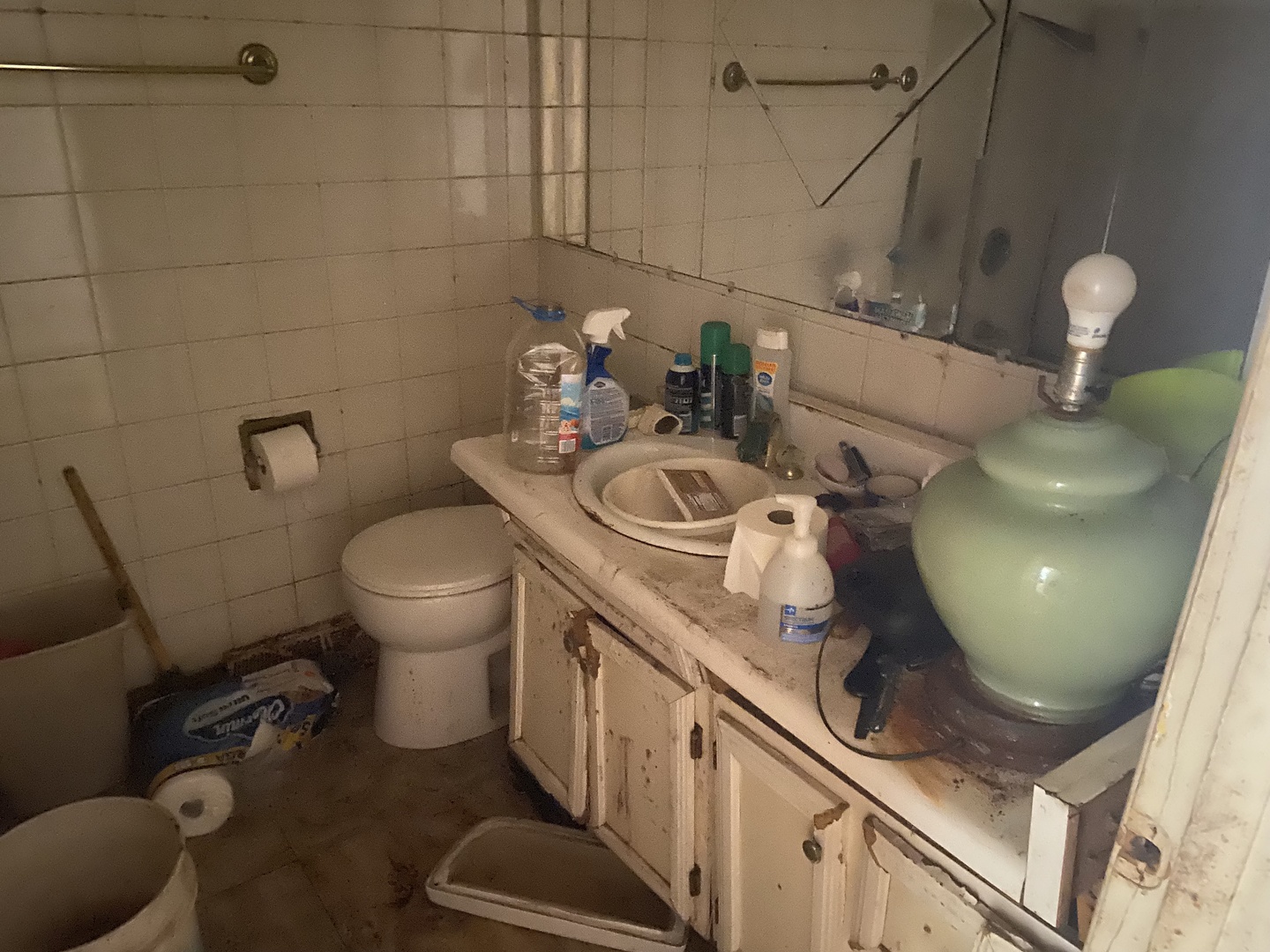 1338 Jill Terrace Homewood, IL 60430 - Photo 6 of 15 a bathroom with a toilet sink and mirror