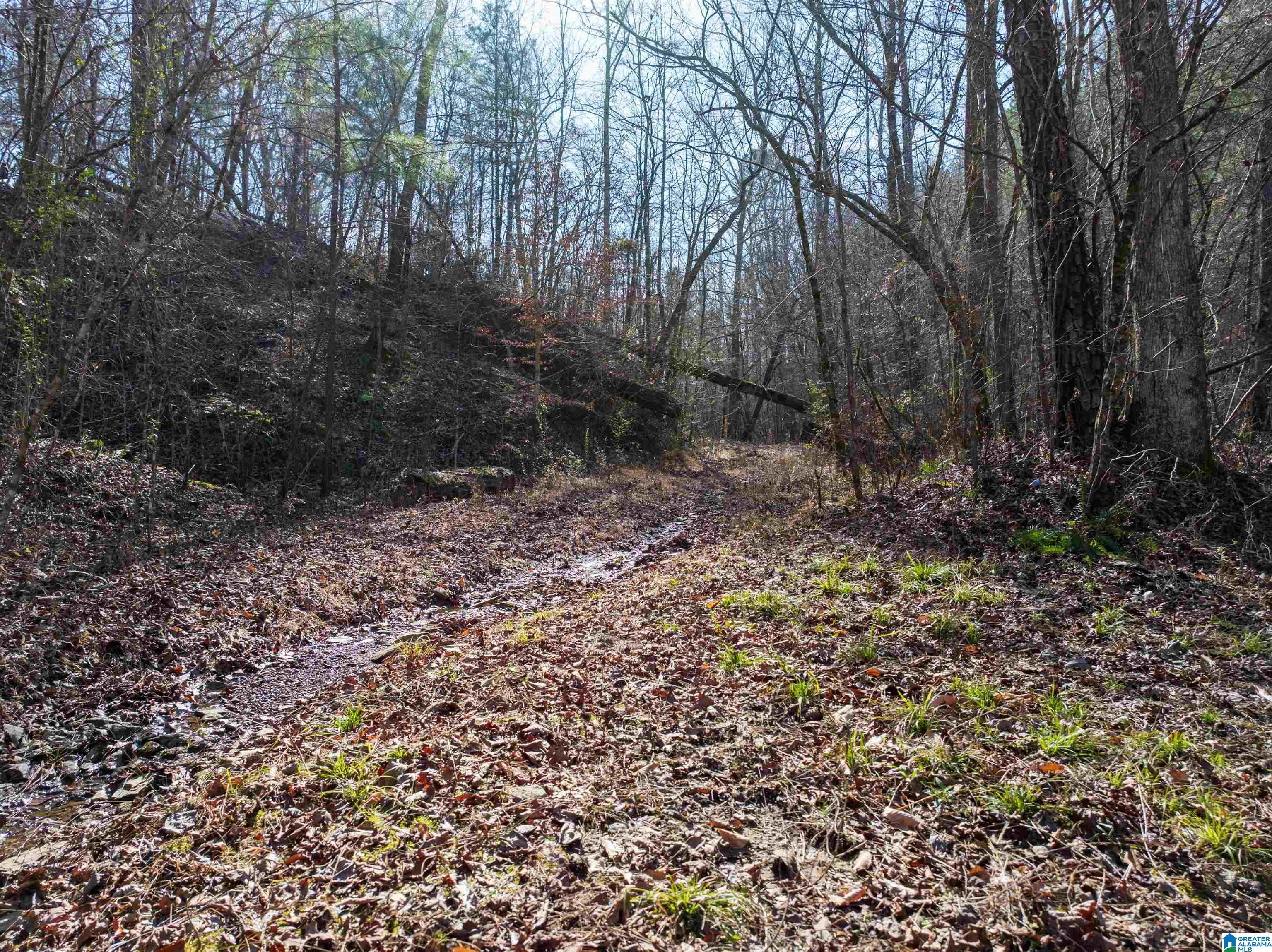 0 Red Hill Road, Unit 15 Oakman, AL 35579 - Photo 4 of 14