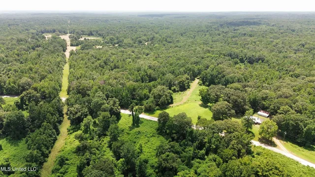 $225,000 | Scallions Road, Grenada, MS 38901