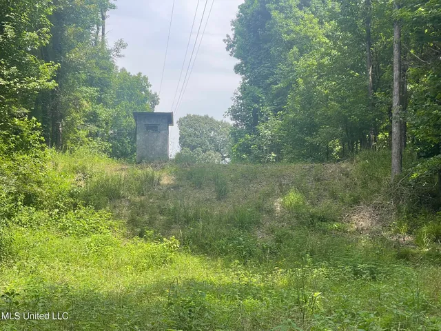 $225,000 | Scallions Road, Grenada, MS 38901