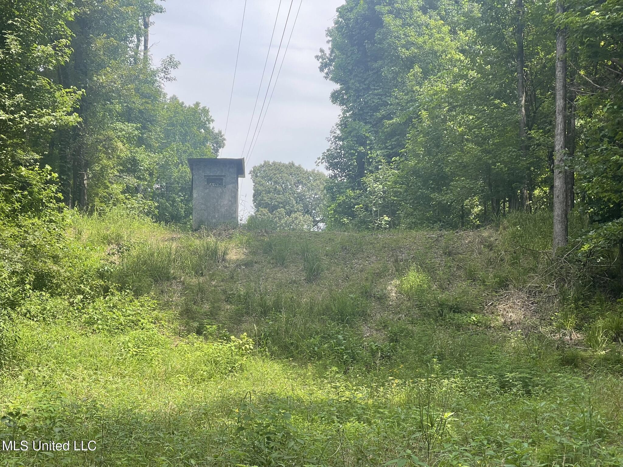 Scallions Road Grenada, MS 38901 - Photo 15 of 20 IMG_4885