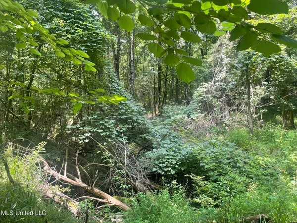 $225,000 | Scallions Road, Grenada, MS 38901