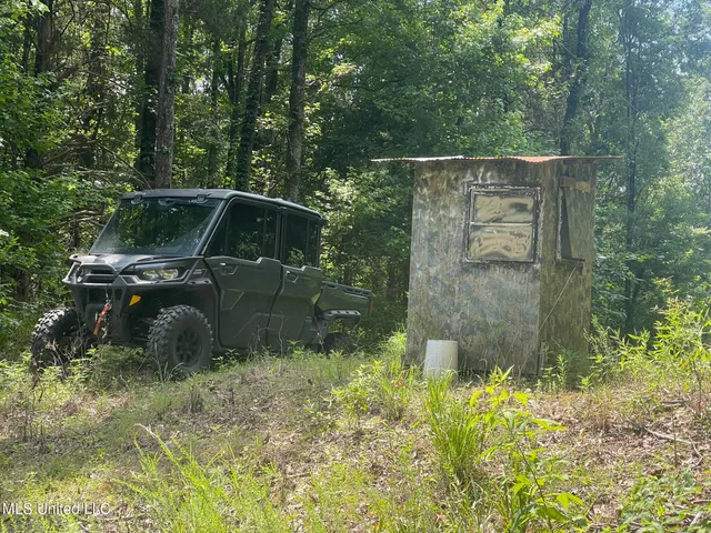 $225,000 | Scallions Road, Grenada, MS 38901