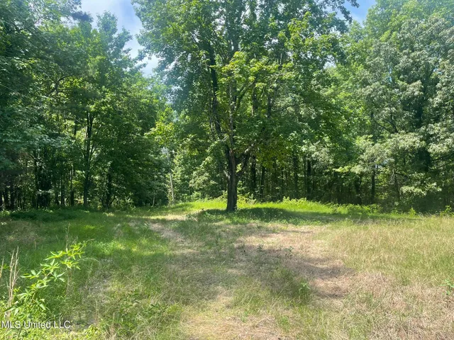 $225,000 | Scallions Road, Grenada, MS 38901