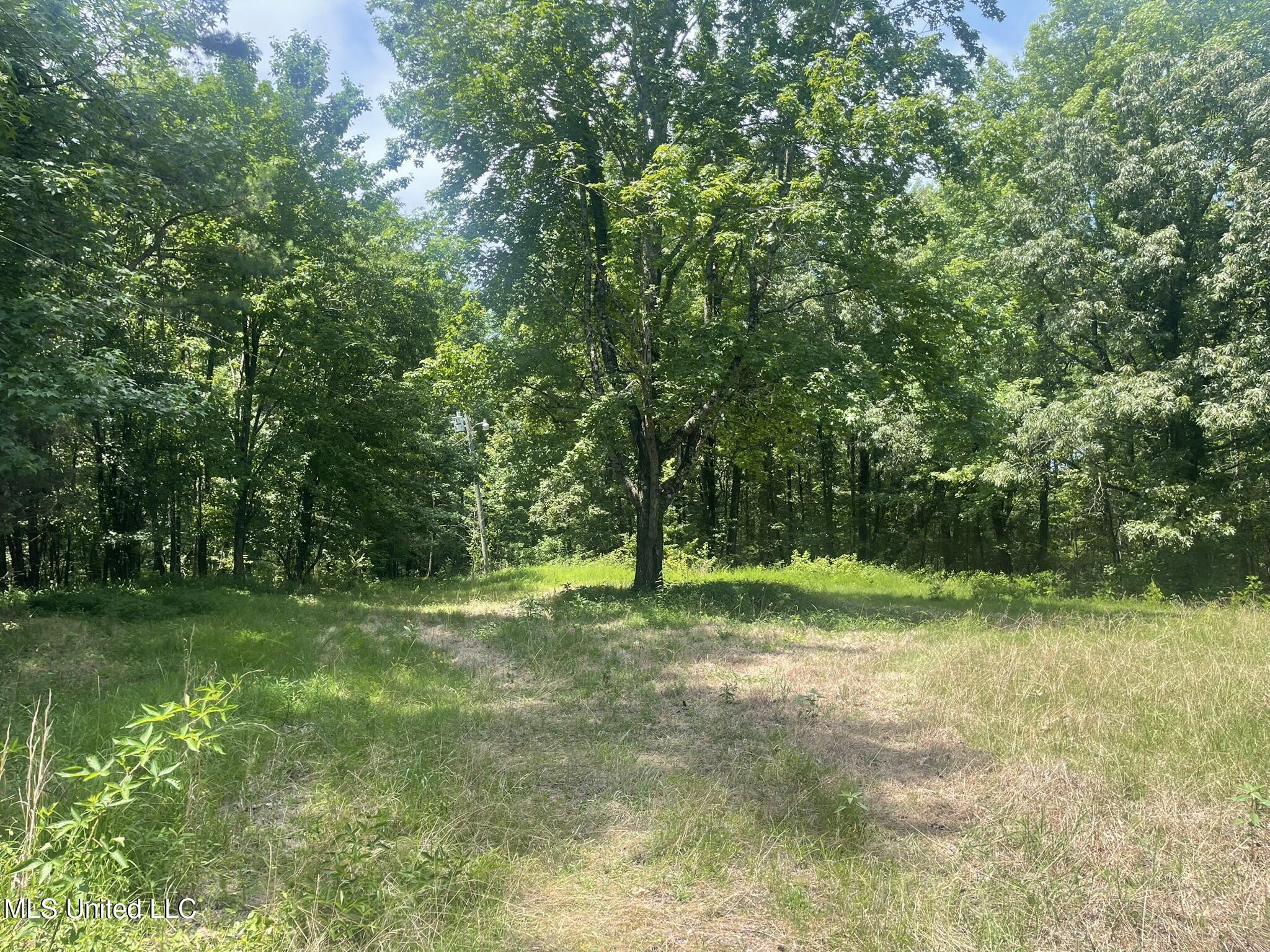 Scallions Road Grenada, MS 38901 - Photo 18 of 20 IMG_4890