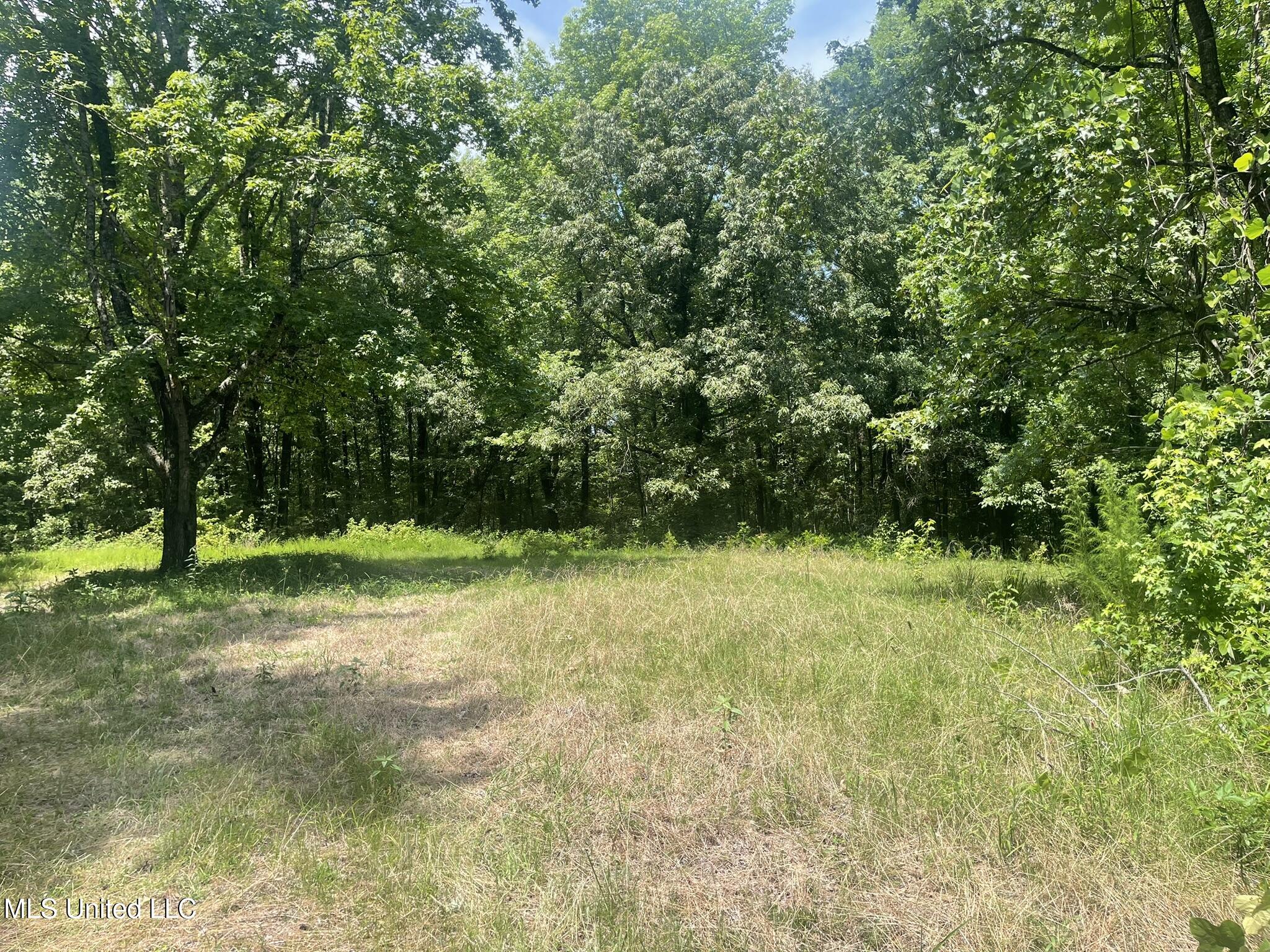 Scallions Road Grenada, MS 38901 - Photo 19 of 20 IMG_4891