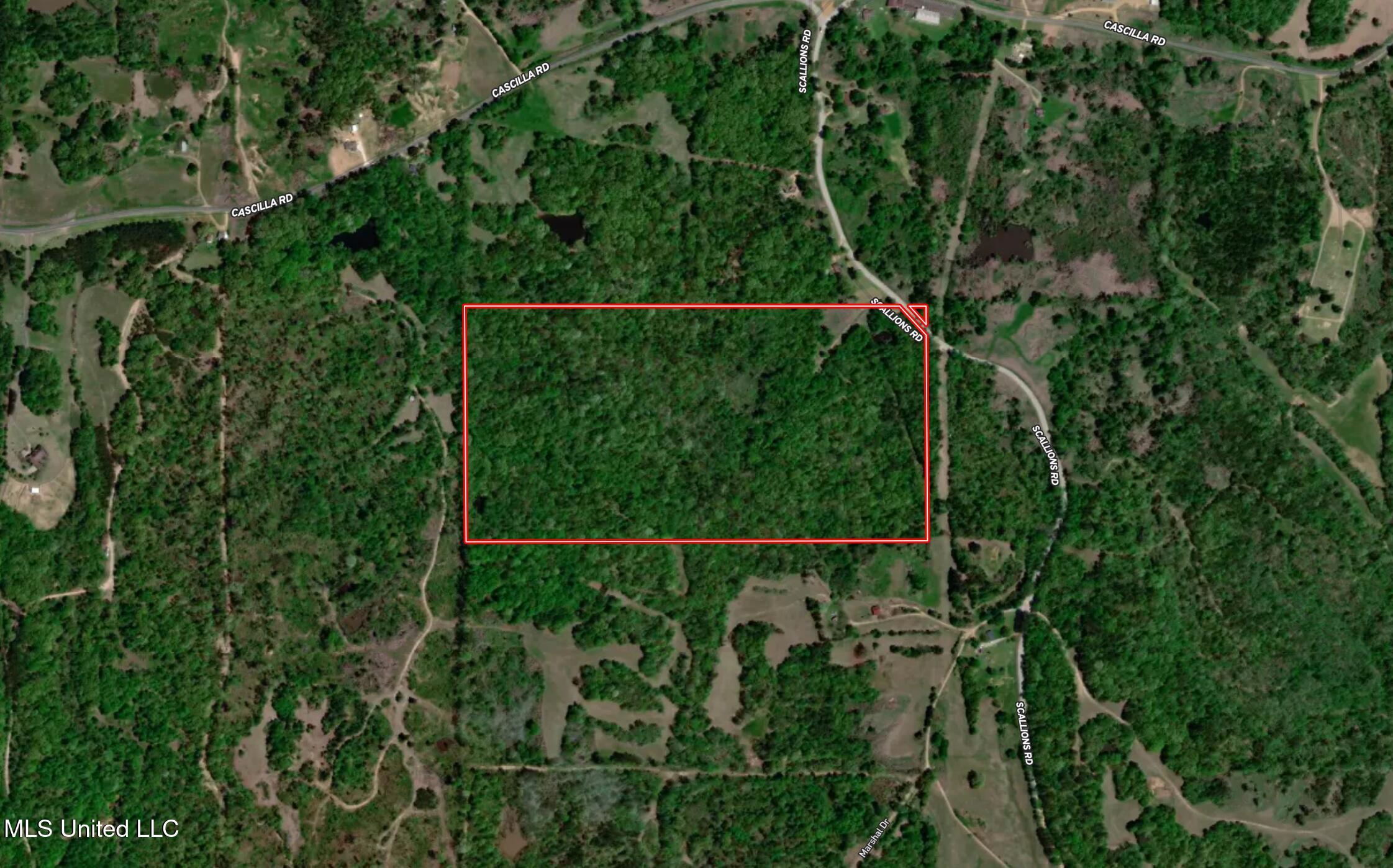 Scallions Road Grenada, MS 38901 - Photo 2 of 20 Property Outline