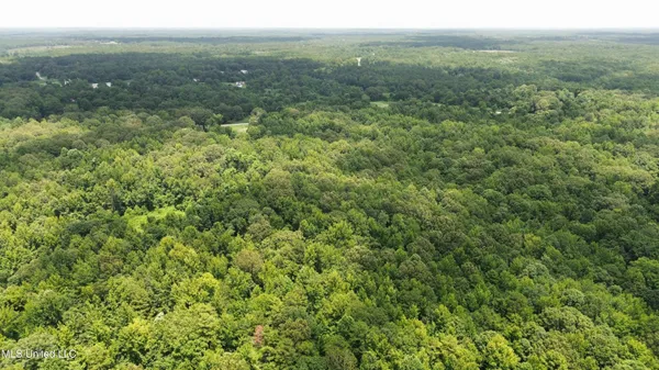$225,000 | Scallions Road, Grenada, MS 38901