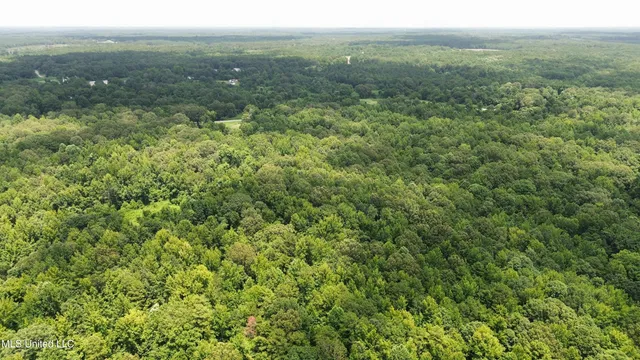 $225,000 | Scallions Road, Grenada, MS 38901