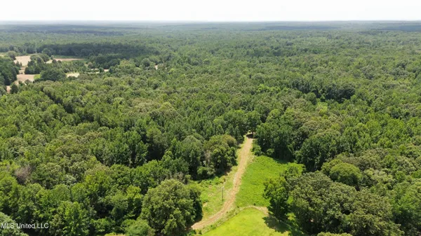 $225,000 | Scallions Road, Grenada, MS 38901
