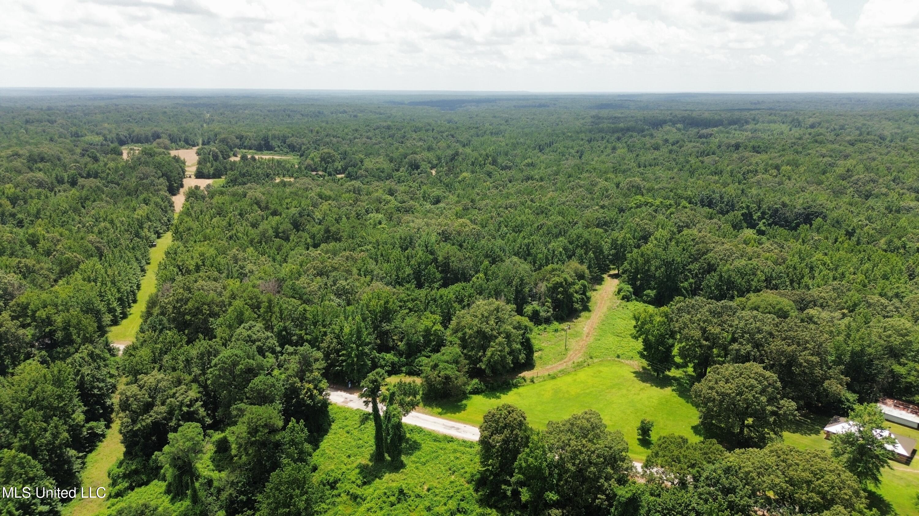 Scallions Road Grenada, MS 38901 - Photo 5 of 20 dji_fly_20250710_162326_408_175243803891
