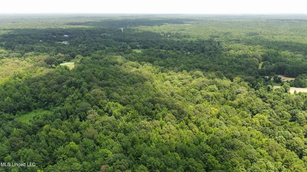 $225,000 | Scallions Road, Grenada, MS 38901