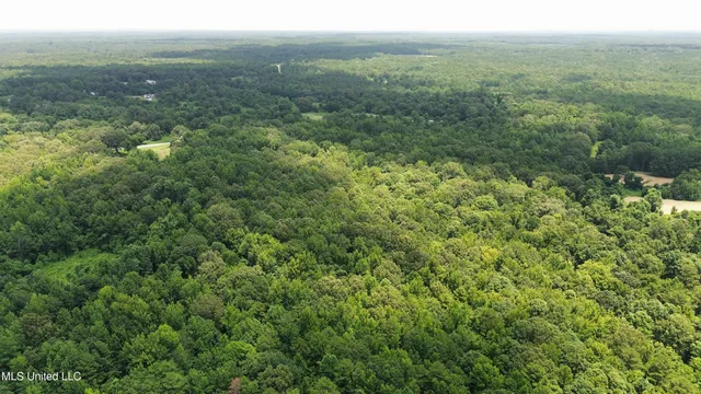 $225,000 | Scallions Road, Grenada, MS 38901