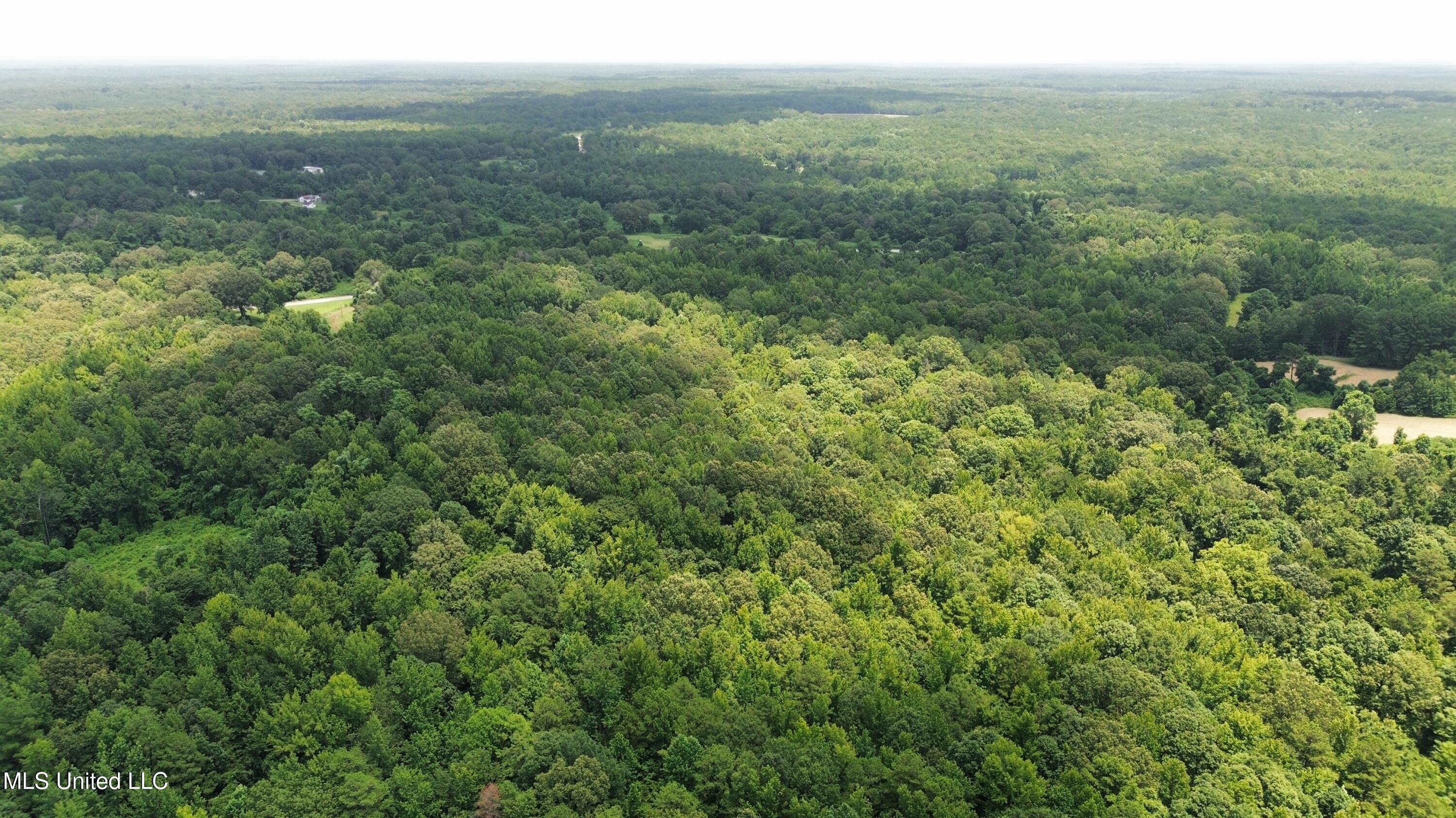 Scallions Road Grenada, MS 38901 - Photo 6 of 20 dji_fly_20250710_162108_403_175243802679