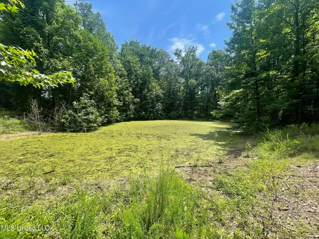 $225,000 | Scallions Road, Grenada, MS 38901