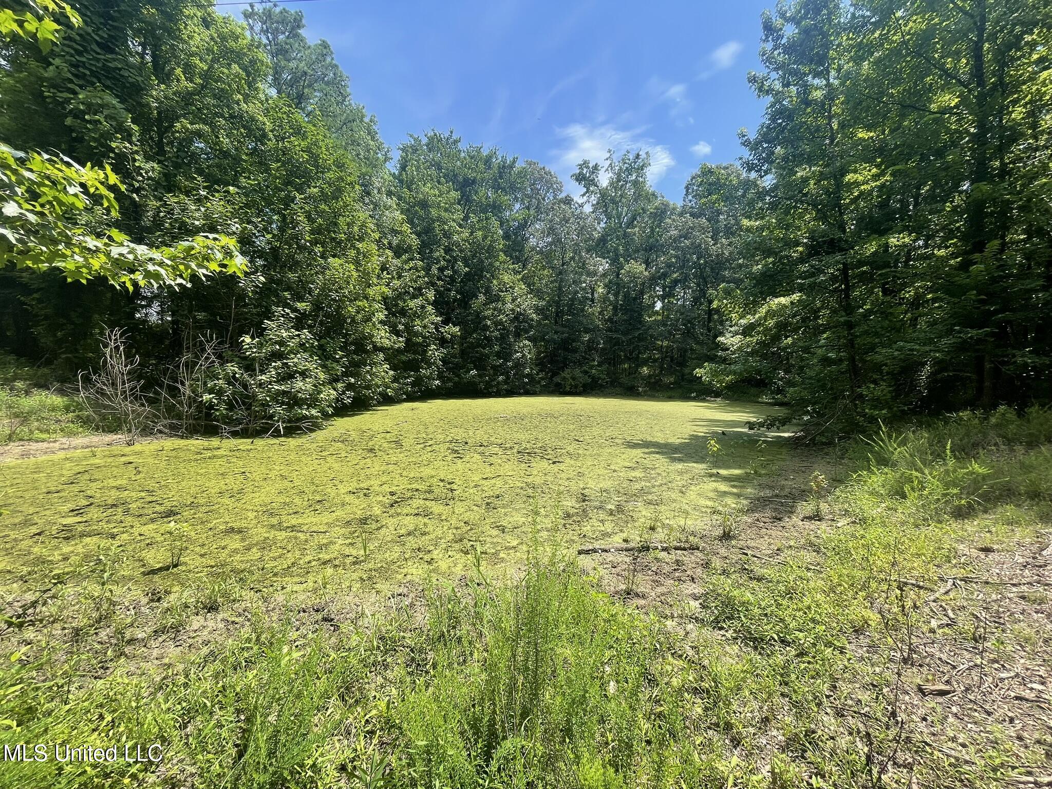 Scallions Road Grenada, MS 38901 - Photo 7 of 20 IMG_4888