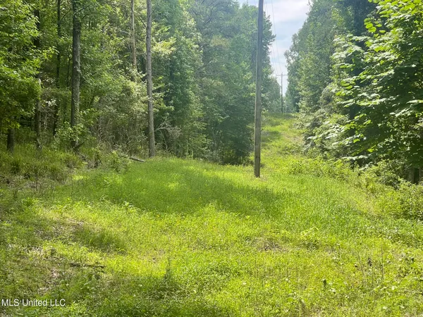 $225,000 | Scallions Road, Grenada, MS 38901