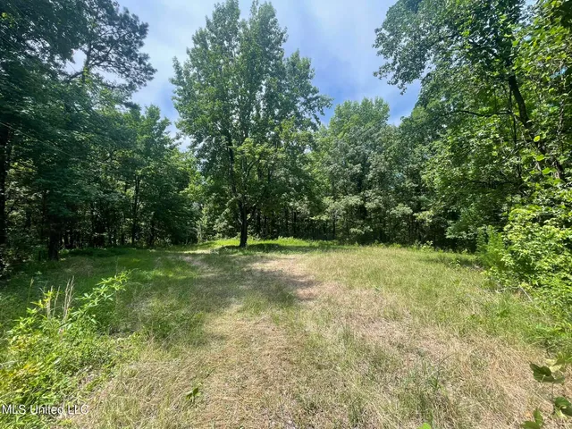 $225,000 | Scallions Road, Grenada, MS 38901