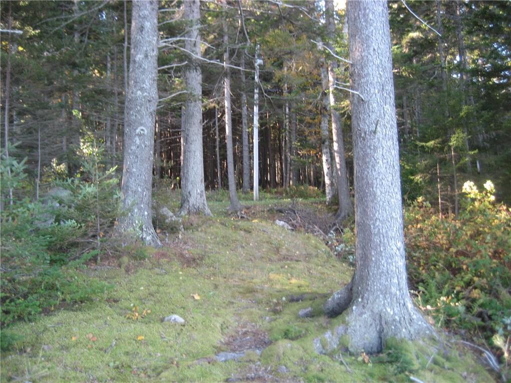 198 Otis Point Road Tenants Harbor, ME 04860 - Photo 32 of 33 Includes 33 foot waterfront deeded...