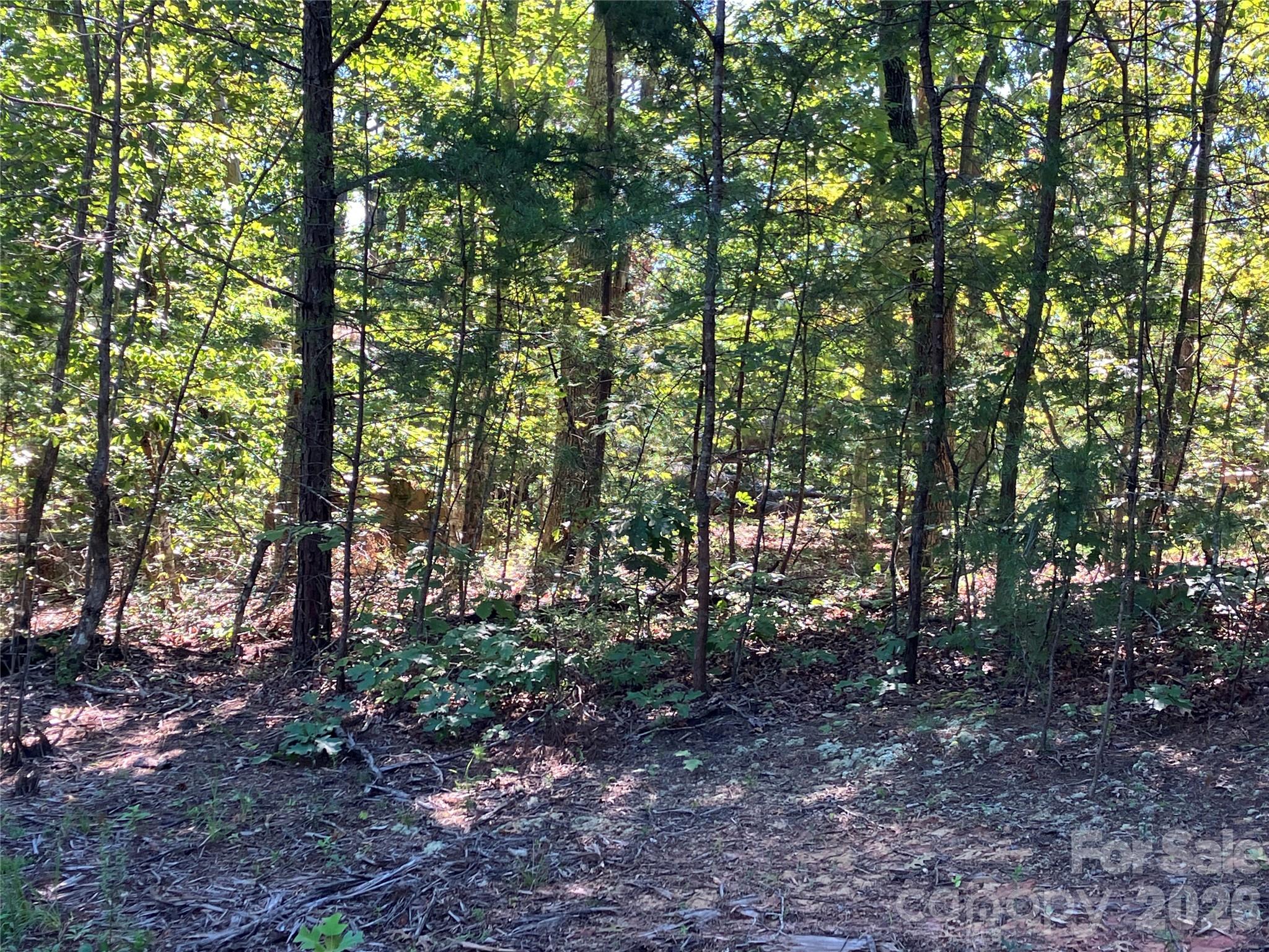0 Tyler Terrace, Unit LOT 11 Rutherfordton, NC 28139 - Photo 17 of 17 Gallery Image 17