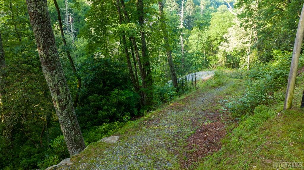 290 Skyline Lodge Road Highlands, NC 28741 - Photo 11 of 11 Gallery Image 11