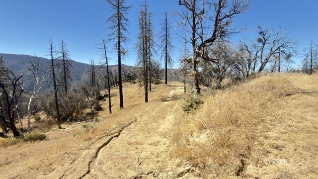 4351 Saddle Springs Road Caliente, CA 93518 - Photo 9 of 15 Gallery Image 9
