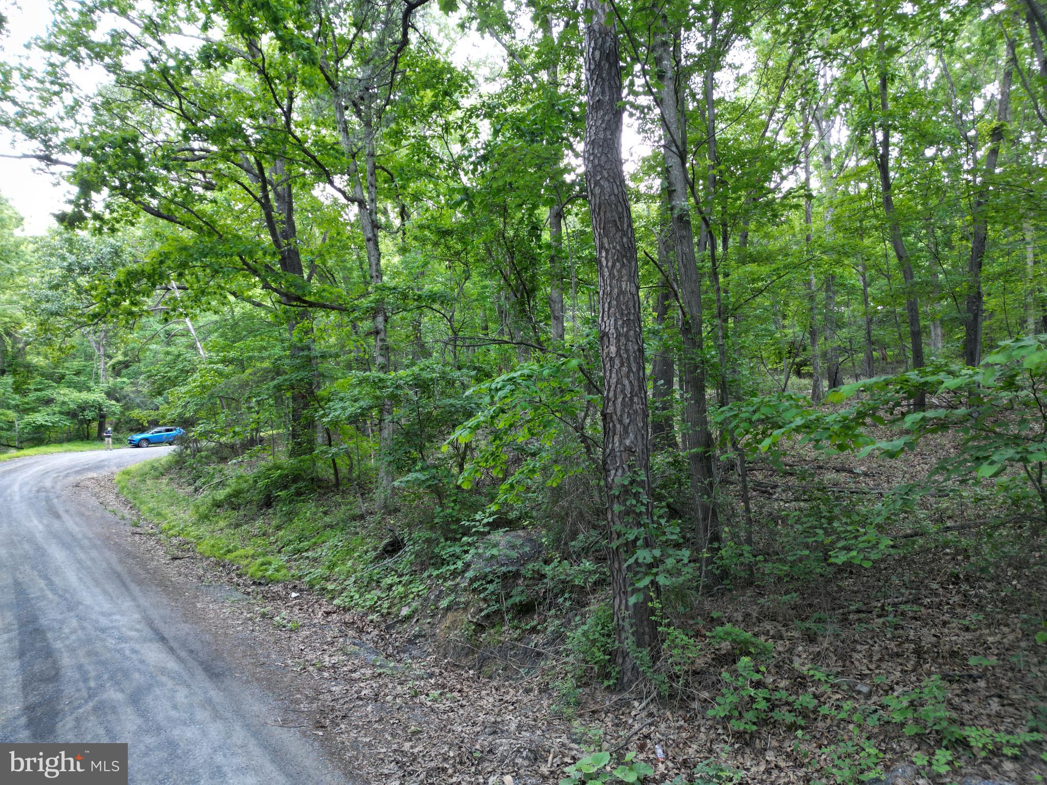 Tbd Rolly Road Mount Jackson, VA 22842 - Photo 14 of 20