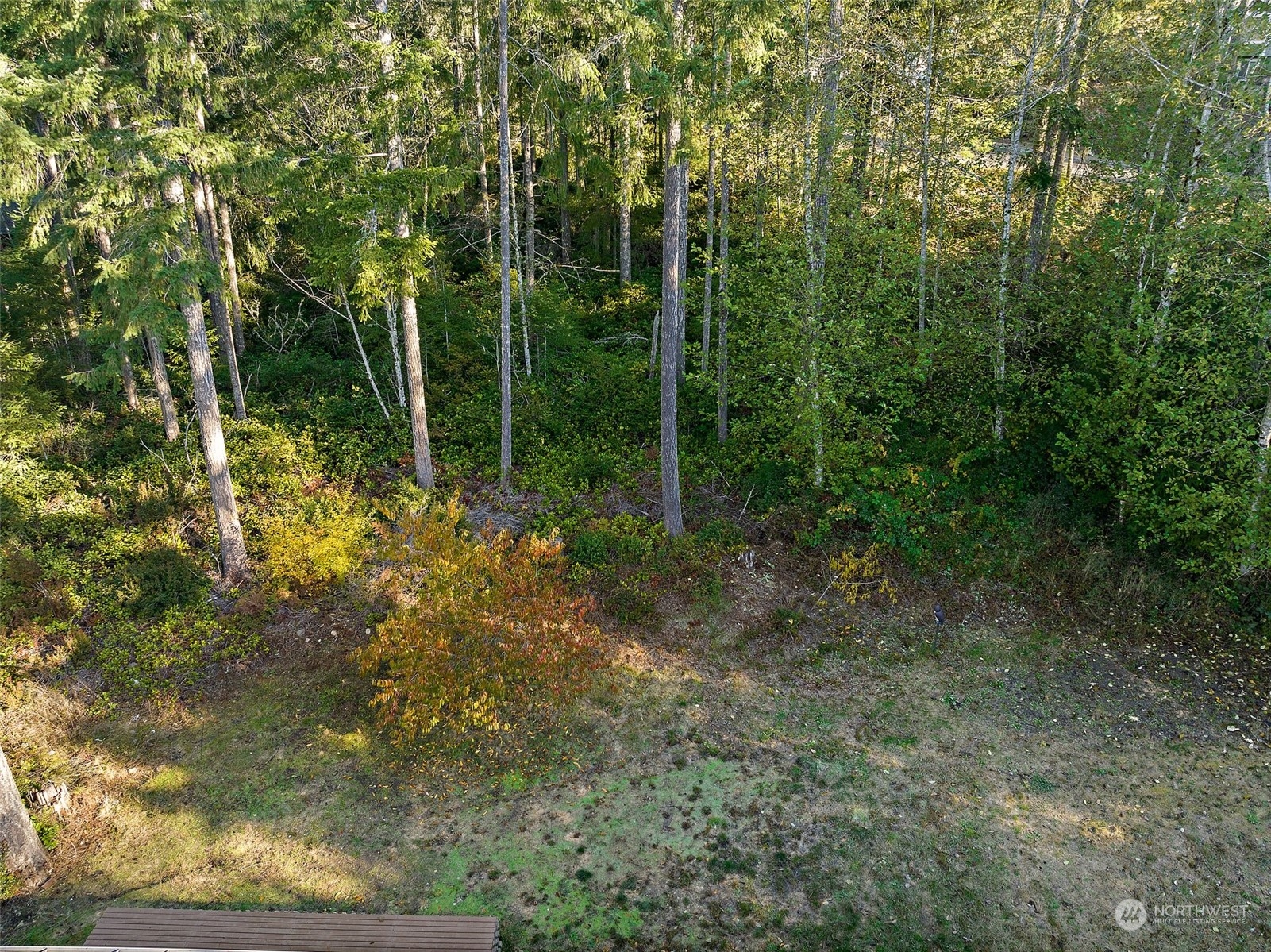 4860 East Rasor Road Belfair, WA 98528 - Photo 33 of 35 Gallery Image 33