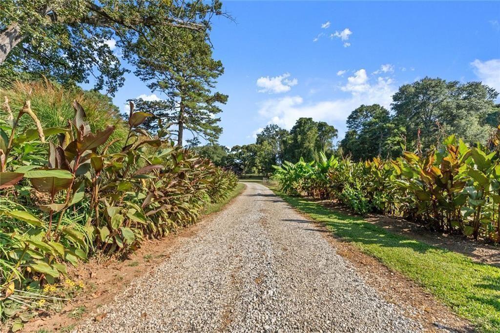 195 Sims Farm Way Maysville, GA 30558 - Photo 11 of 58 a view of a garden with plants