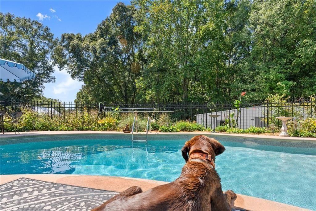 195 Sims Farm Way Maysville, GA 30558 - Photo 34 of 58