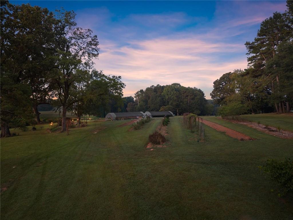 195 Sims Farm Way Maysville, GA 30558 - Photo 41 of 58 a view of a water pond with green yard